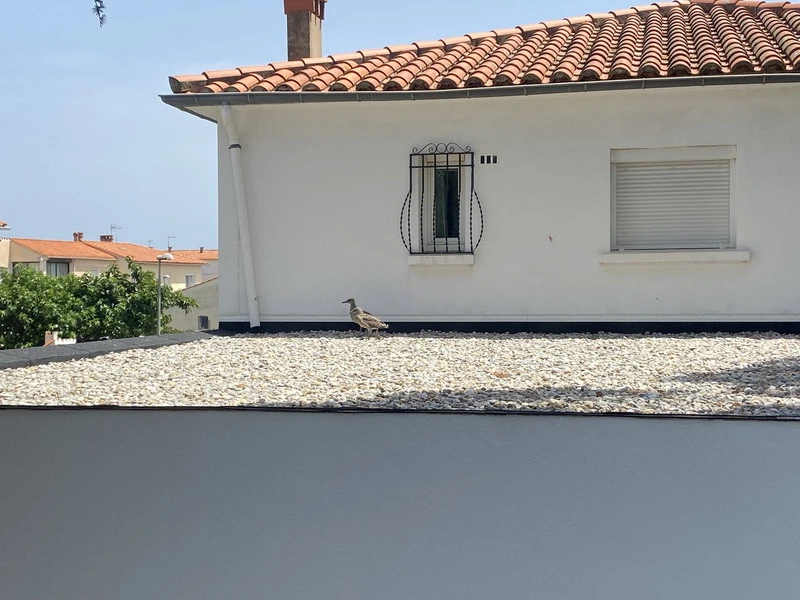 toit recouvert de galets blancs